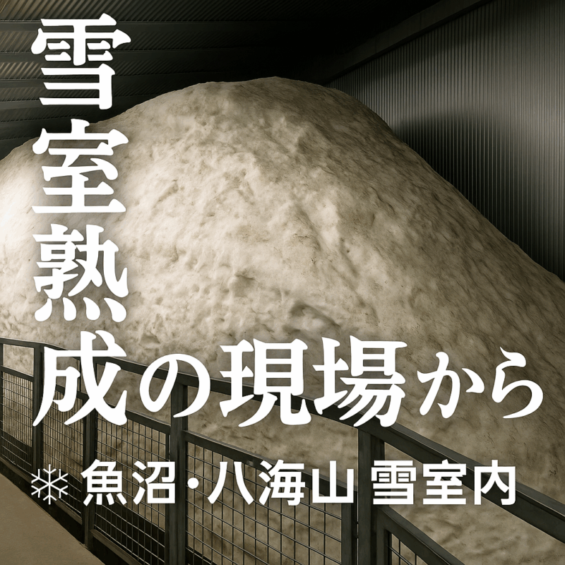 料理レシピや旅グルメ動画はyoutubeで配信予定